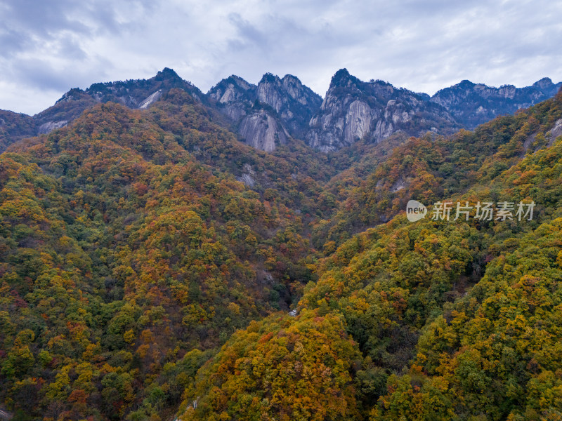 南阳老界岭秋景风光