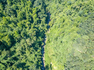 航拍山谷溪流与茂密森林