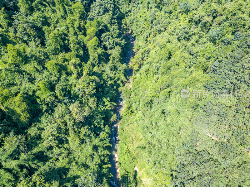 航拍山谷溪流与茂密森林