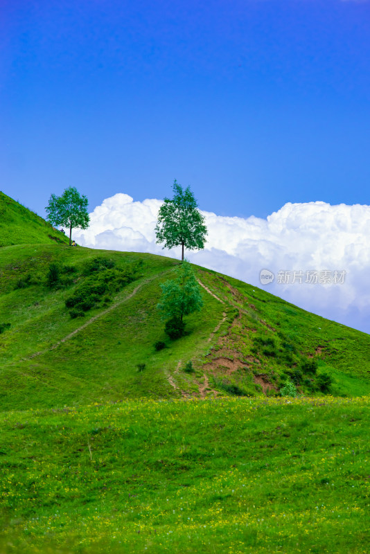 临夏回族自治州太子山耳子屲梁风景区