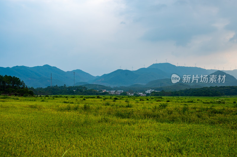 高山田野景观