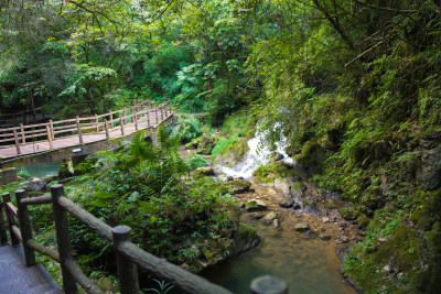 重庆黑山谷的瀑布水流景观