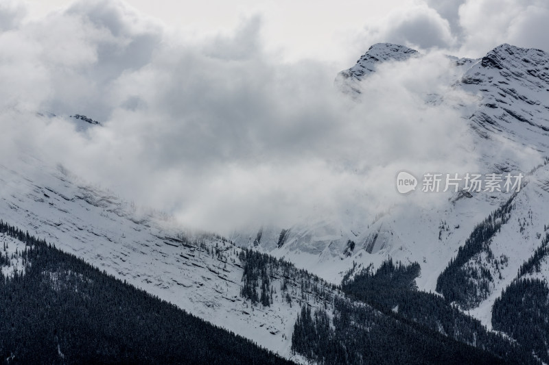 落基山的雪山