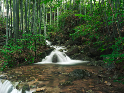 雨季安吉山间竹林水流瀑布