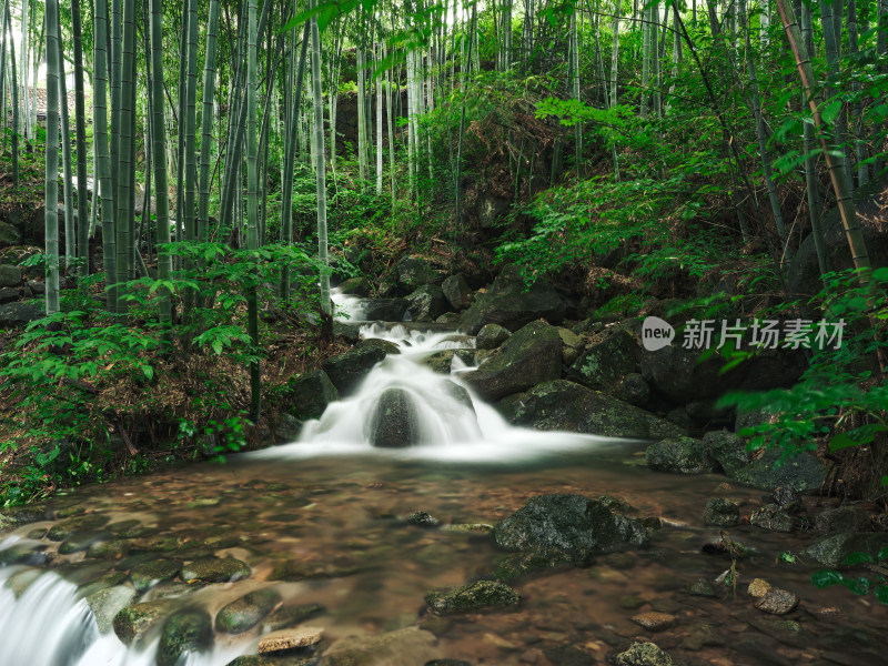 雨季安吉山间竹林水流瀑布