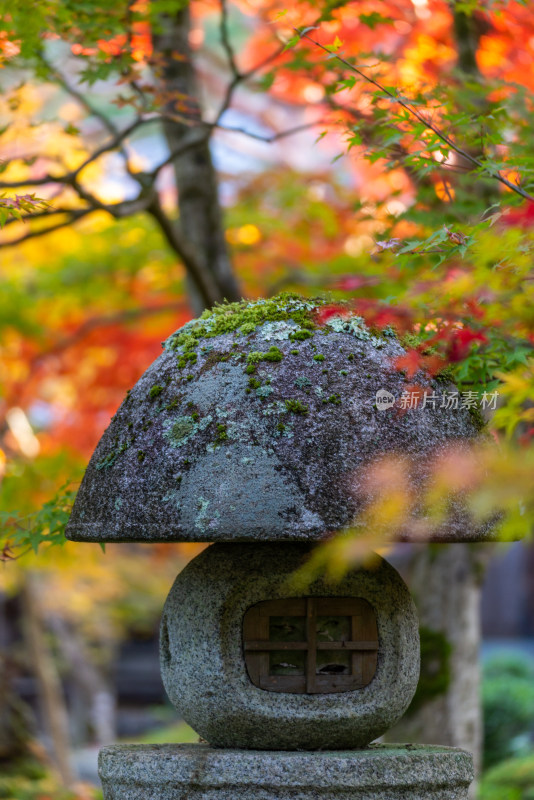 长满苔藓的石灯笼置于多彩秋叶中