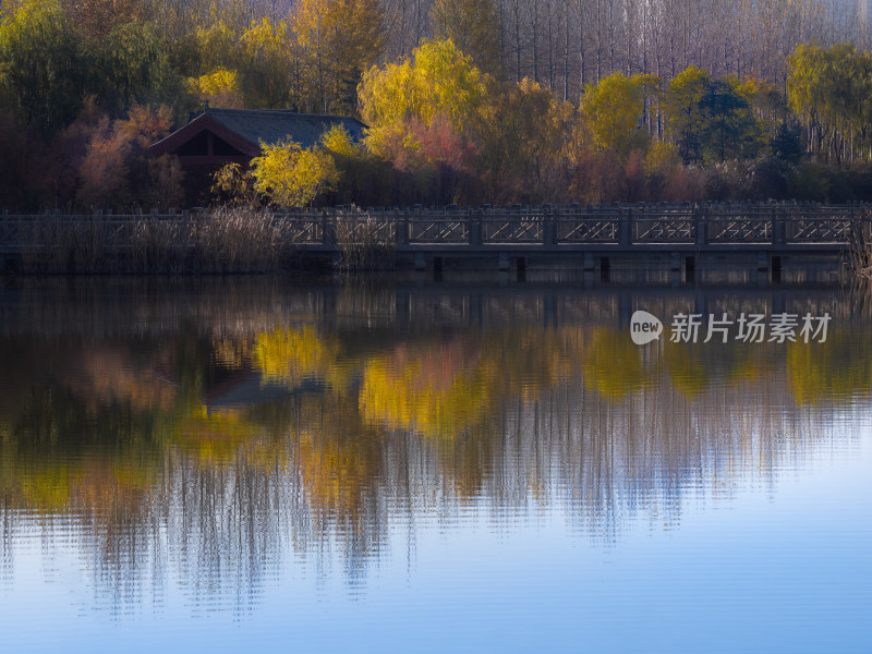 西宁 宁湖湿地公园 青海 秋天 秋季