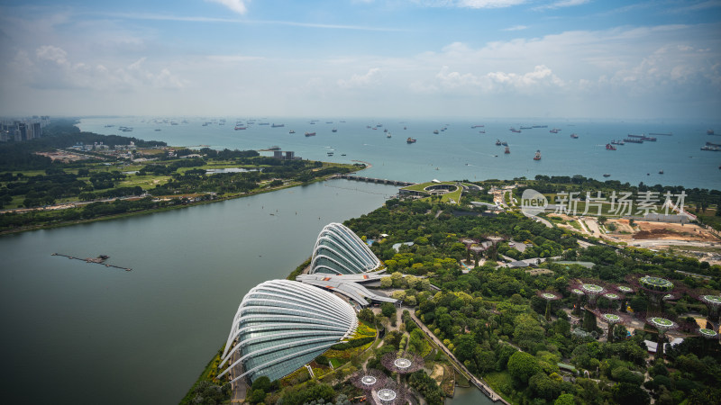 新加坡海湾花园超级树林