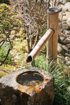 日本关东地区，川越喜多院，惊鹿