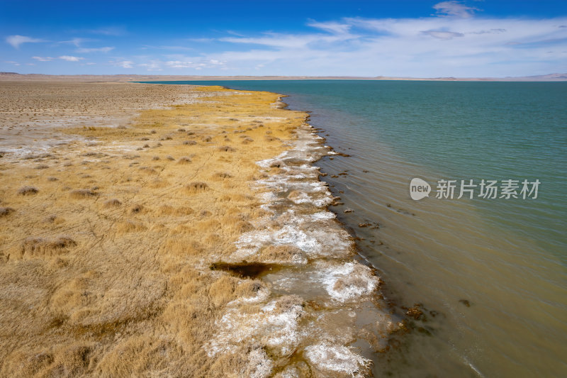 青海无人区可鲁克湖碧绿湖水映雪山高空航拍