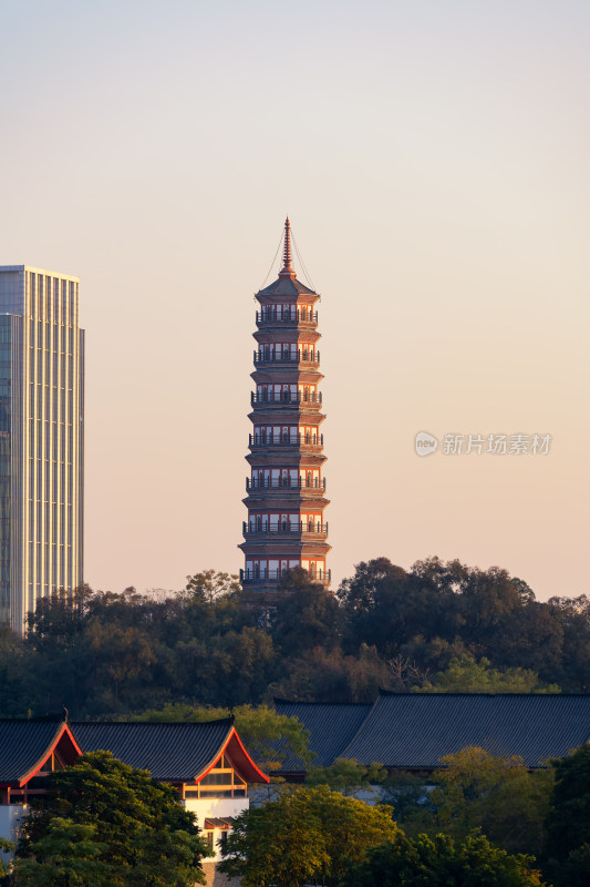 广州地标琶洲塔风景