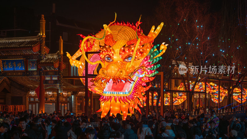 龙形状的春节花灯 北京什刹海荷花市场