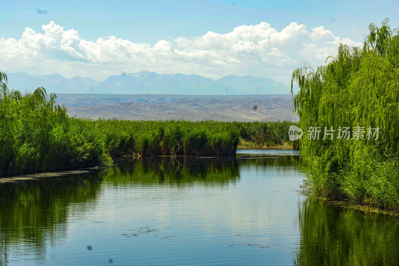 芦苇丛生水域景观及远处山峦景象