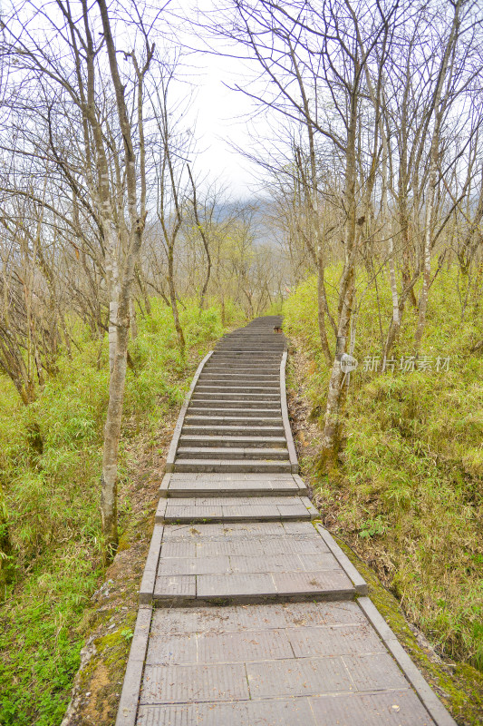 山间小路