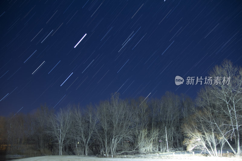 夜晚树林的星空星轨