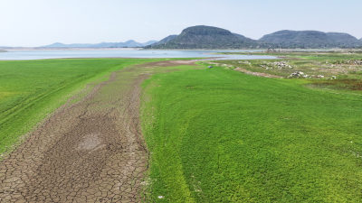 山东枣庄周村水库湿地草原风光