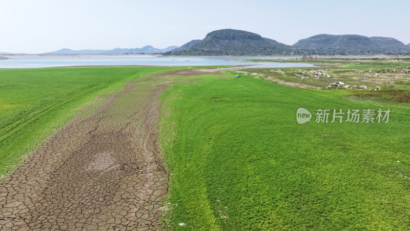 山东枣庄周村水库湿地草原风光