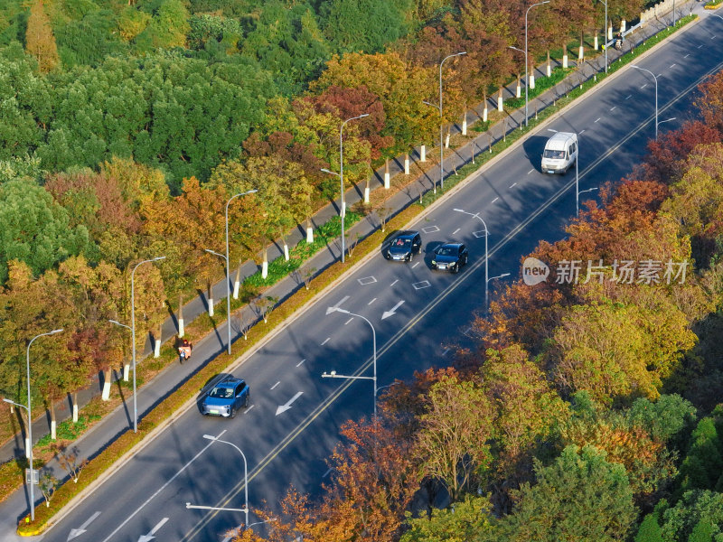 航拍道路上的秋冬景观