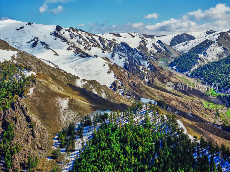 航拍雪山森林