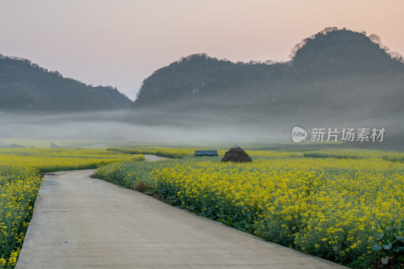 贵州春天的油菜花海