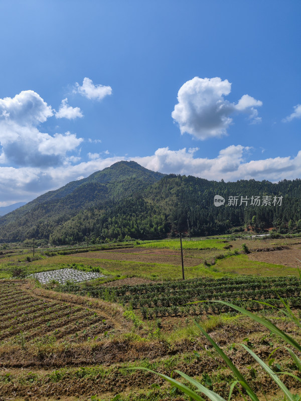 山间田野风光与茂密山林的自然景象