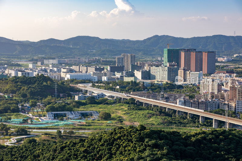 深圳圳美地铁站，地铁线路