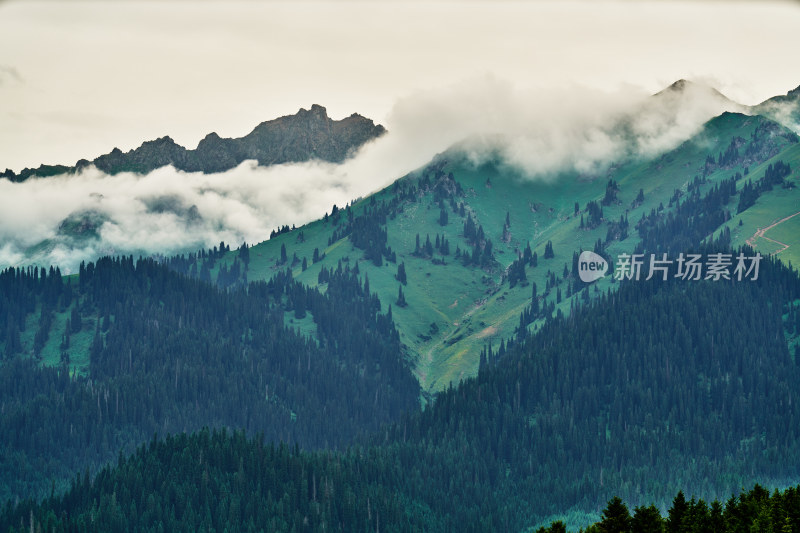 新疆恰西草原景区