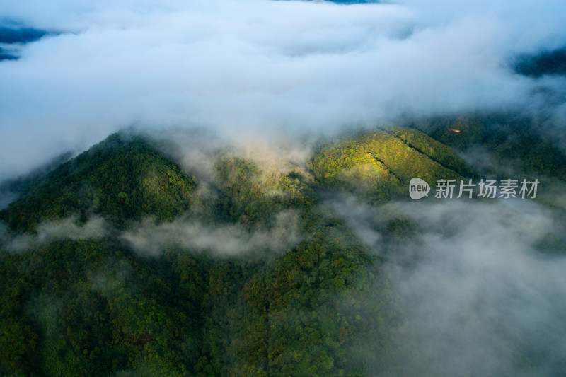 山川云雾 阳光森林