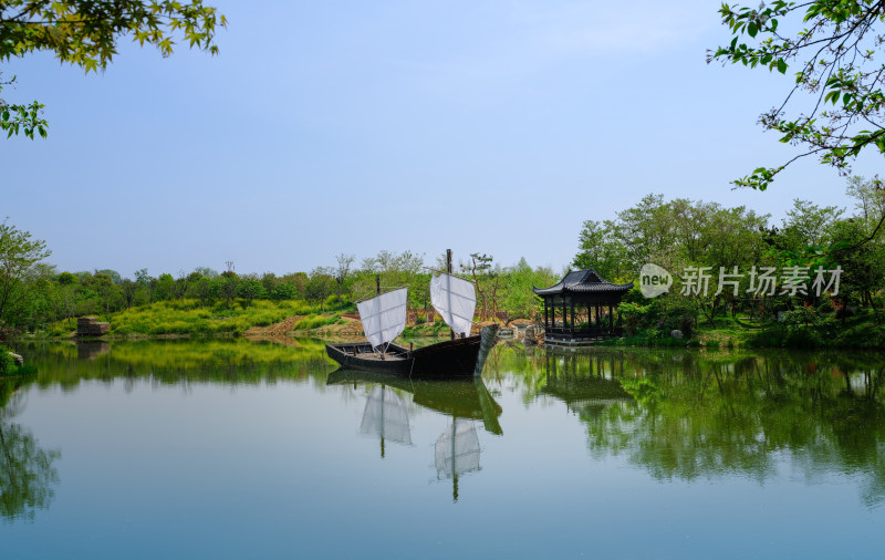 有小溪的春日树林风景