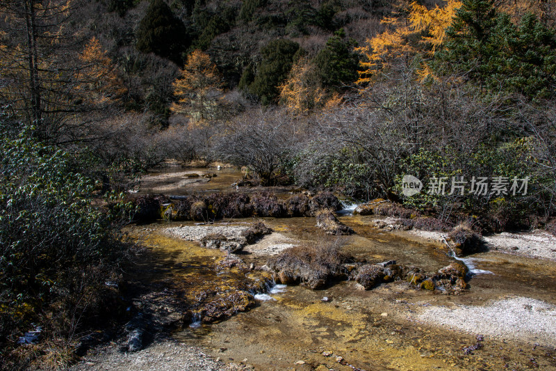 四川阿坝黄龙景区秋日山林静谧溪流