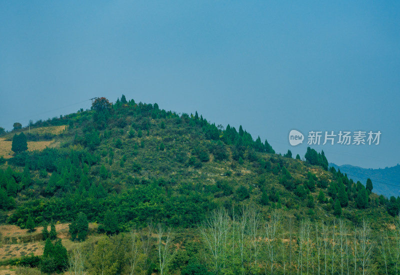 夏季满山绿油油的树木