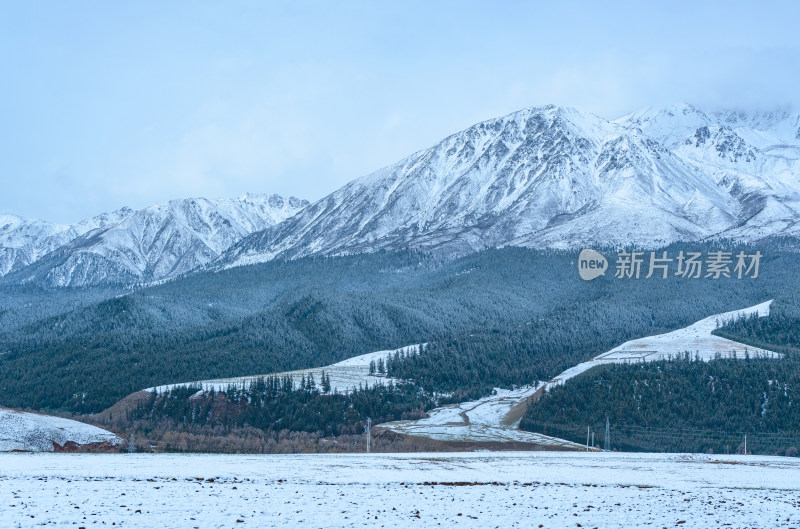 青海祁连卓尔山树林自然唯美雪景风光