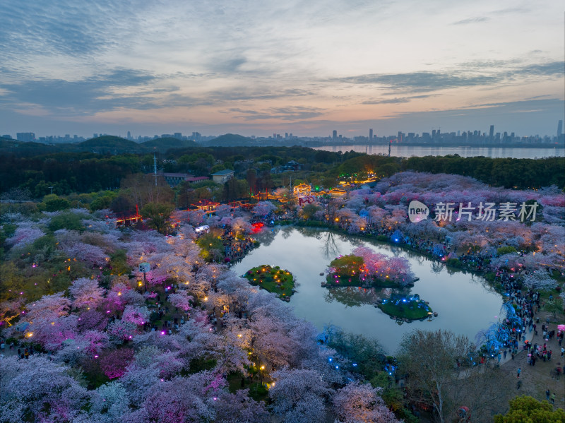 武汉东湖磨山樱花园夜景风光