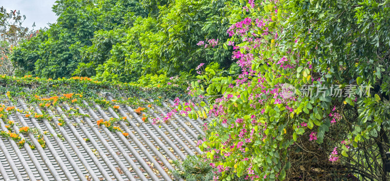 中国传统建筑屋檐上的鲜花