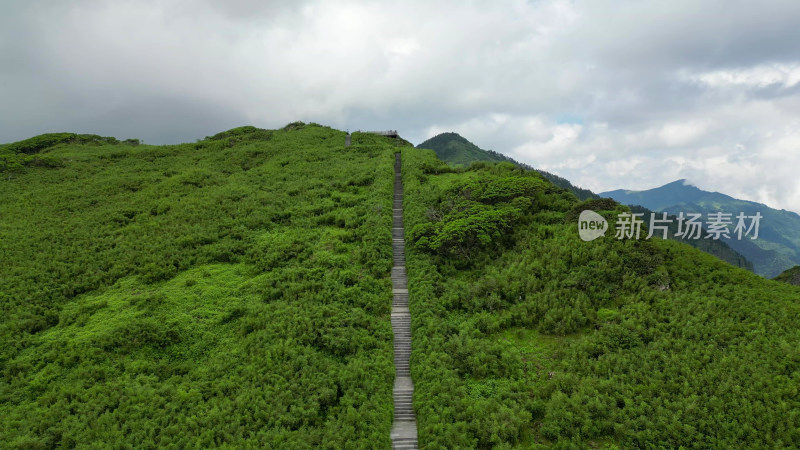 航拍湖北神农架景区神农谷登山台阶