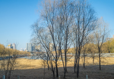 陕西渭南北方郊外荒凉景象