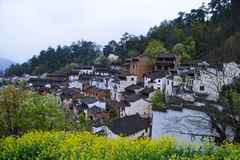 古村落婺源徽派建筑古建筑古遗址