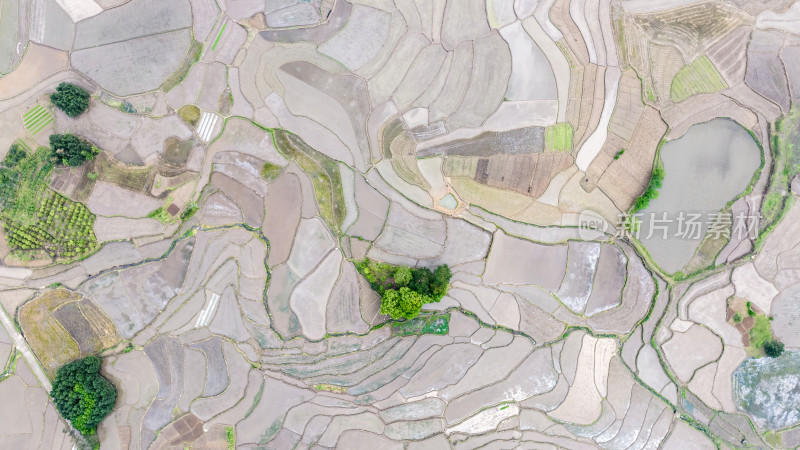 俯瞰春天桂林全州蓄满水的洼地水稻梯田
