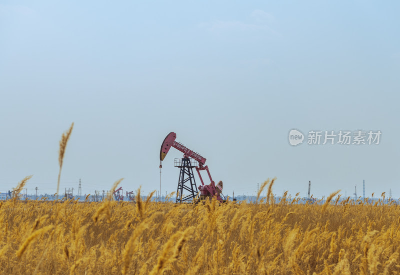 中国黑龙江大庆油田抽油机