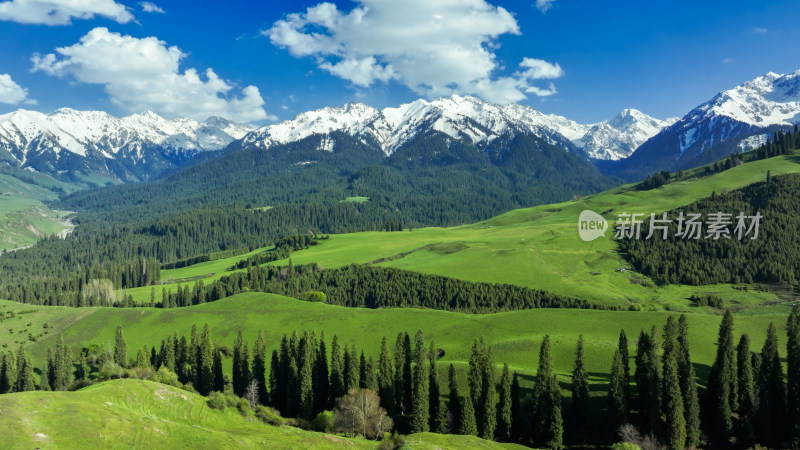 航拍草原雪山森林自然风光