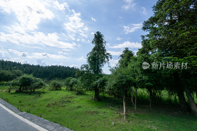 重庆市武隆区仙女山国家森林公园