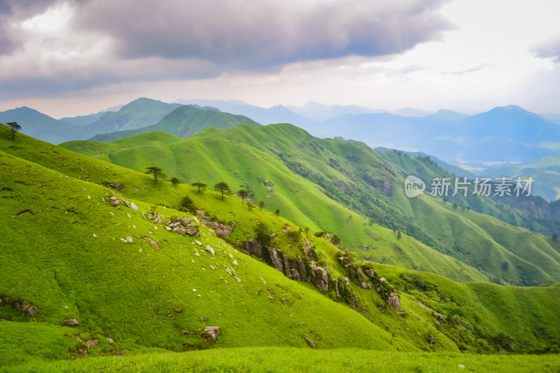 江西武功山高山草甸