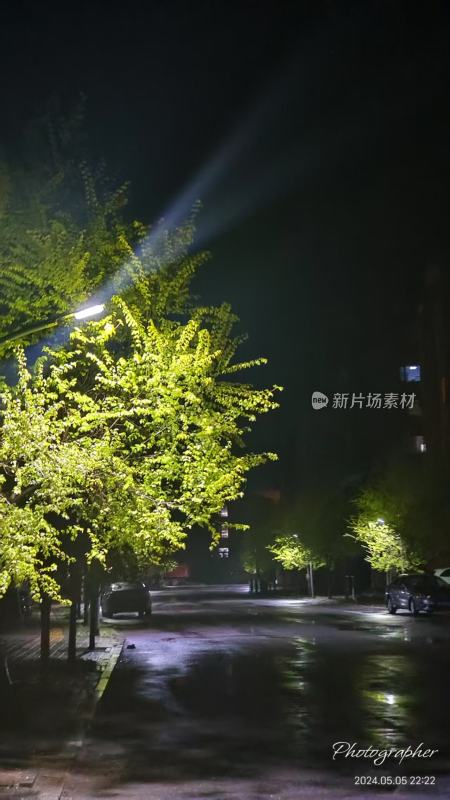 夜晚街道旁绿树与路灯相映的景象