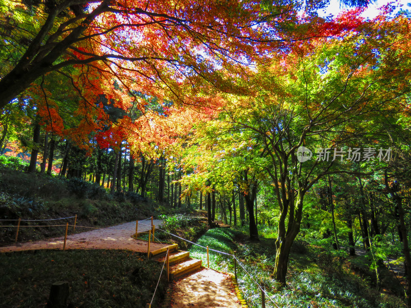 中国江西九江庐山旅游风光