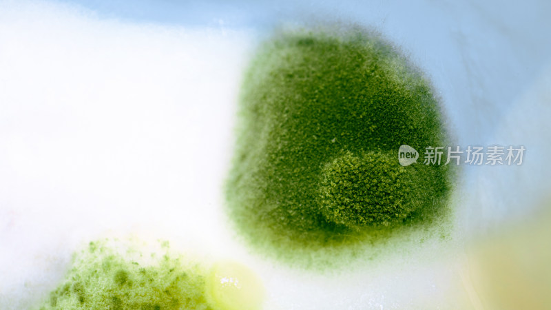 布满霉菌的酸奶表面局部微距特写