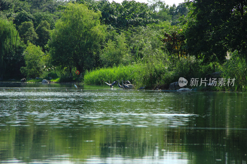 成都锦城公园湿地公园环境