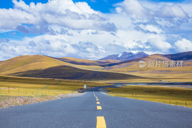 高山草原道路风光