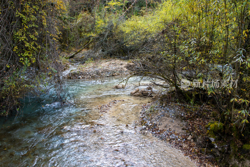 九寨沟秋日山涧溪流