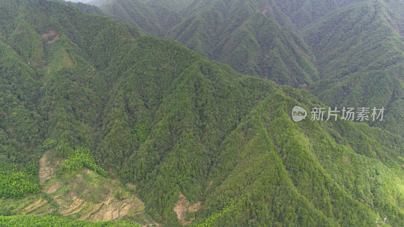 钱江源景区绿色山林航拍