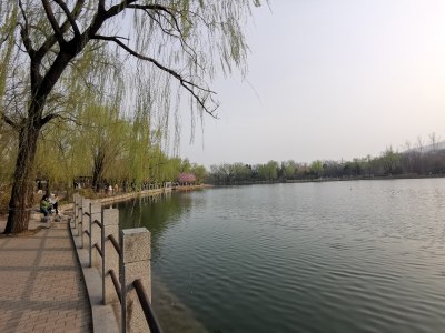 北京植物园-07